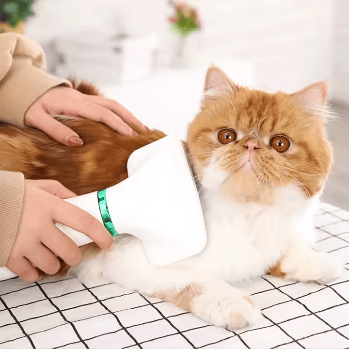Perie Cu Uscator Pentru Animale, Eliandeco ®, Indeparteaza Parul Incurcat, 3 Viteze De Uscare, Foarte Silentios, Alb